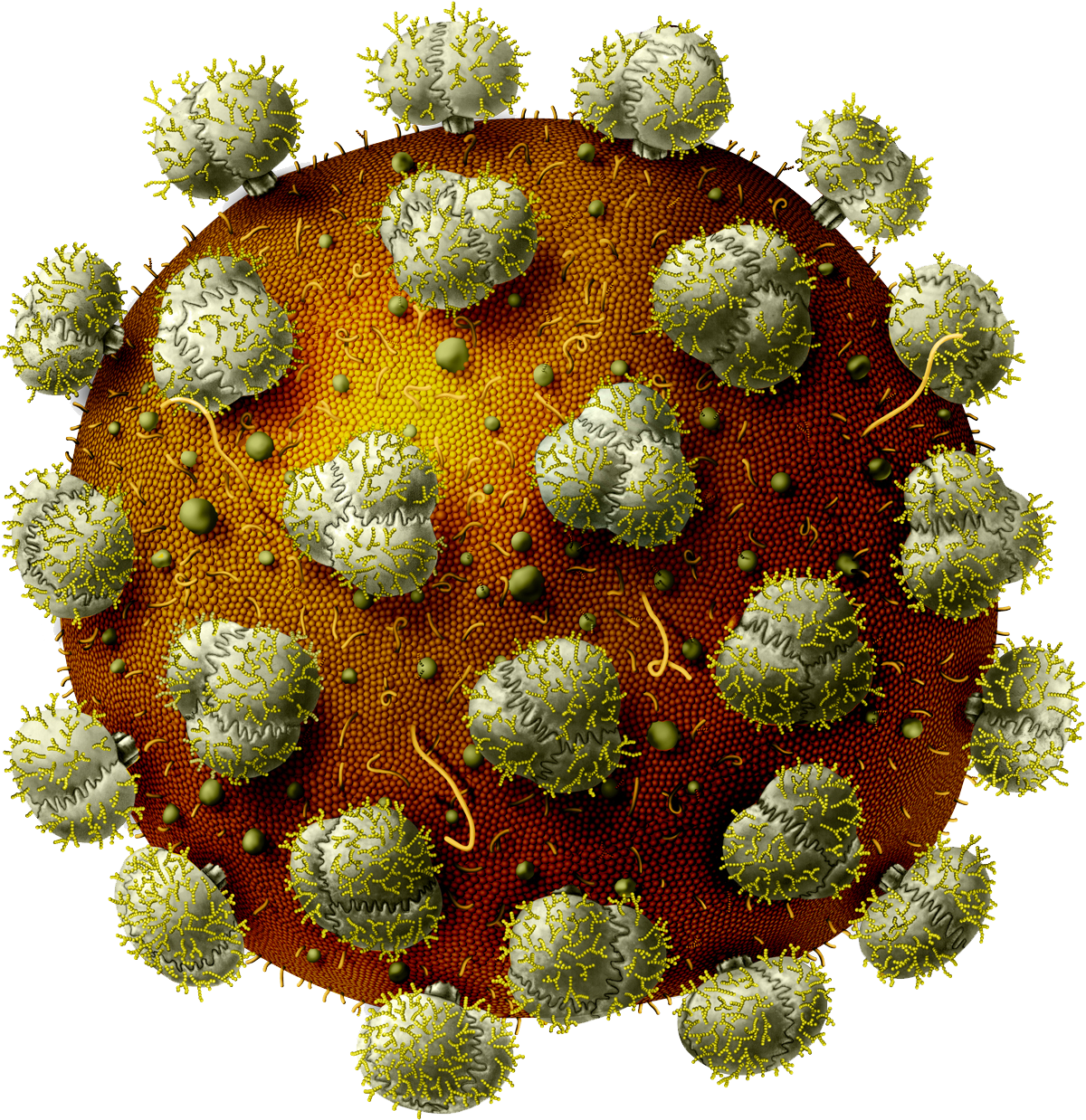 Inside Viruses Biology Of Human World Of Viruses